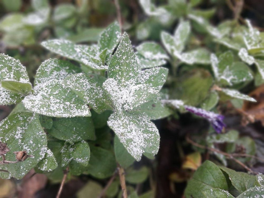 �������� ������: ������� ������ �� ������� � �������� � ���������� ������� ����� � ���������� �������, � �������, �� ����������