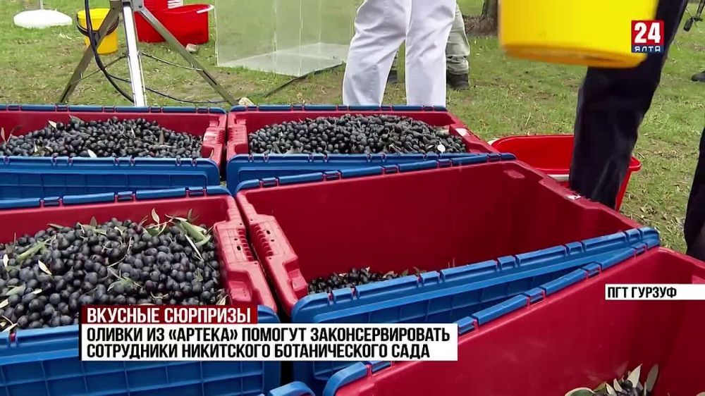 ��������� ��������� � ���� ���������� ��� ���������������� ������ � ������ ��������