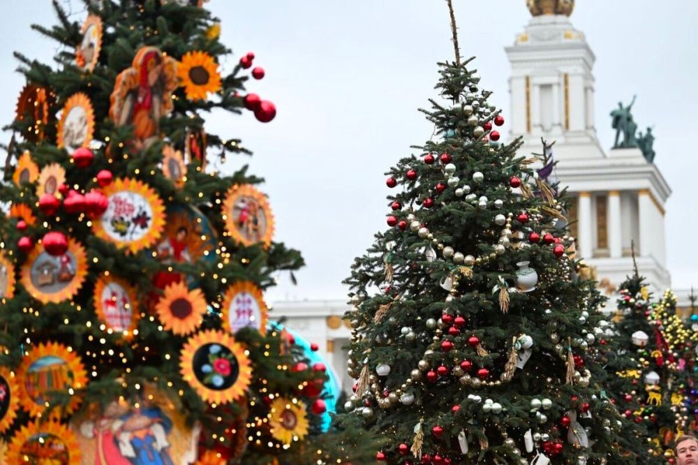 ���������� ������� ������ ������� � ������� "���� ������ �� ����"