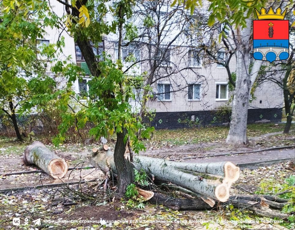 � ������� ������������ ������ �� ���������������