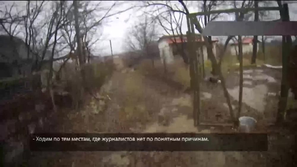 ���: ������, ��������� � �������� ������������� �����������