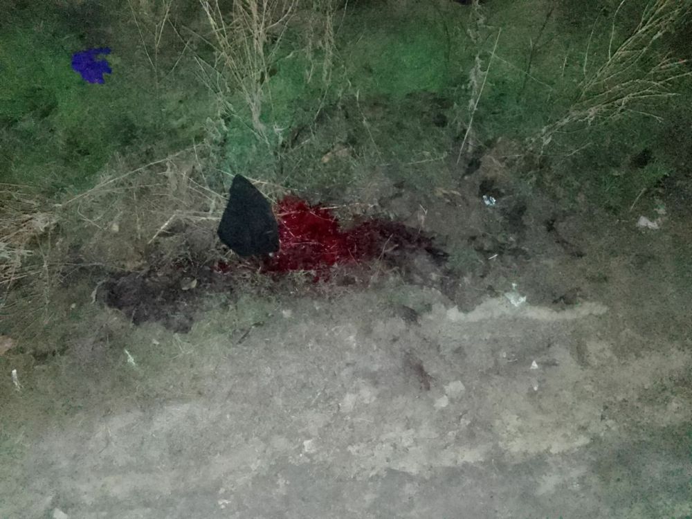 ������ ������ ��������� ����� ��� �������� ���� ���-������� 23 ������