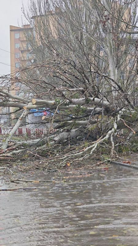 ������ ����������: � ����������� � ����������� - 26 � 27 ������, � ������� ��������� ������ ��������� ������