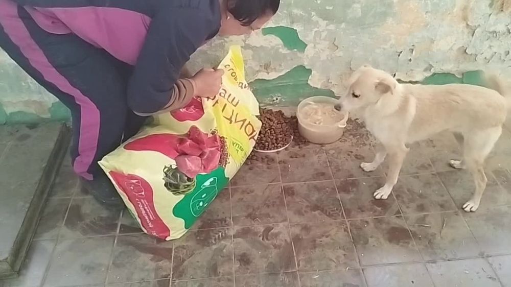 ��������� �� ����������� �������� �������������� ������ ��� ��������� ��������