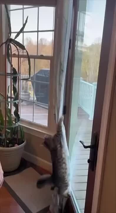 � ������ ����� �������, �����������!