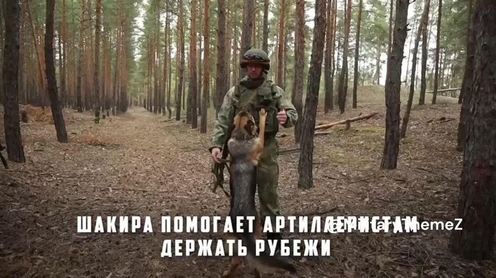 ������� � ������� ��������� ���������� ������������� - �������� ������� ������, ������� ���� ����� ������ ����������� � �������������