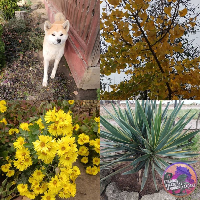 ��������� ����� ���������� ������� ������������ �������������