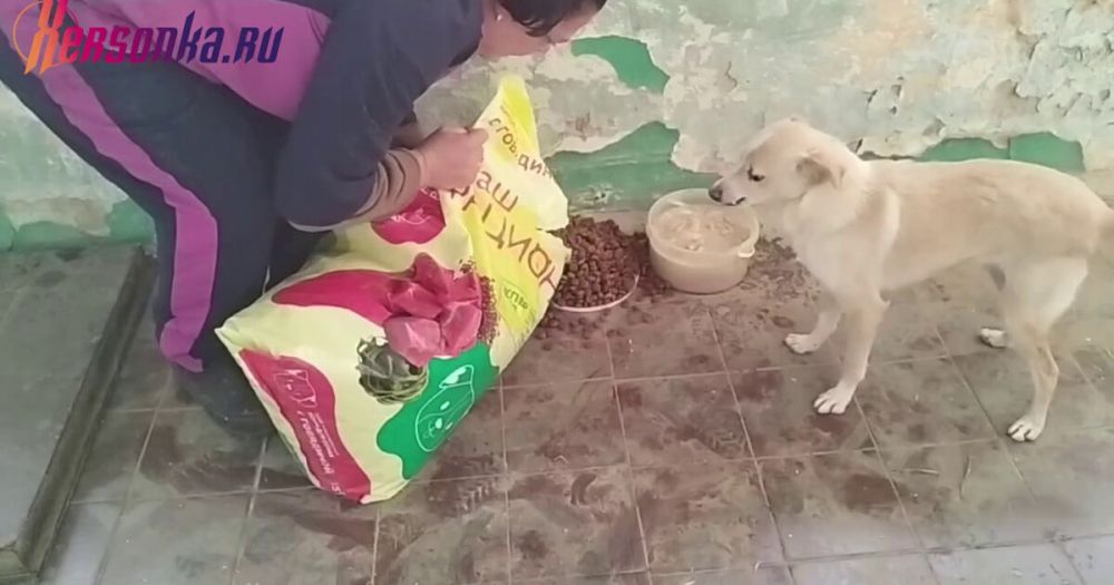 ��������� �� ����������� ������� ��������� ��� �������� �� ������ � ����� �������