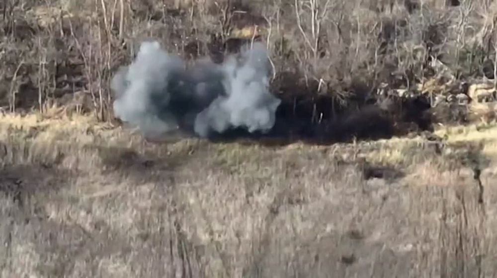 �� ������ �� �� ������� 31 ��������� ���� ������������ ������� � ���� �� ������� ����������� ��������������, ���������, ������ �������� �������������� �����������, ����������, ������� ������� � ����� ��������