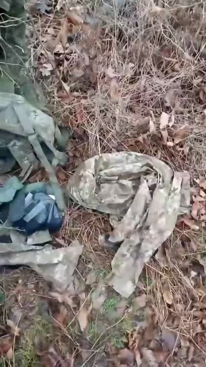 �� ����� �� ����������� � ����� ������� ����� ��� ������ ������� ���� ���������� ��������� ��� ����������, ������� �� ������������� ������� ����������