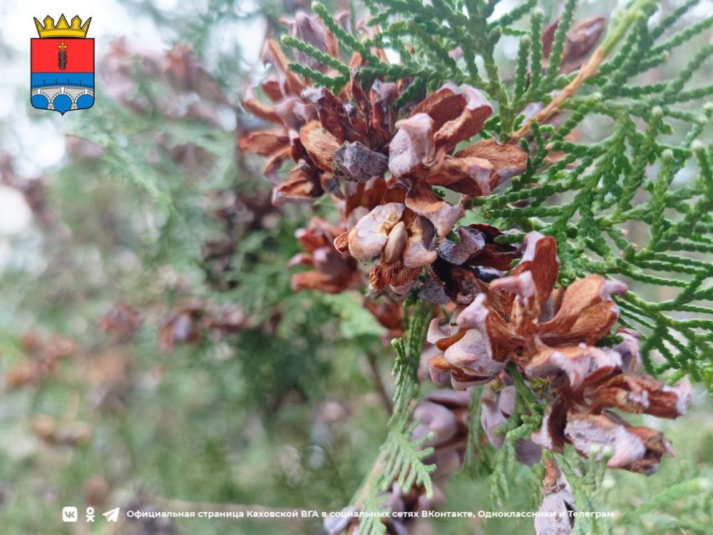 ������ ����, �������!. @VGA_Kakhovka