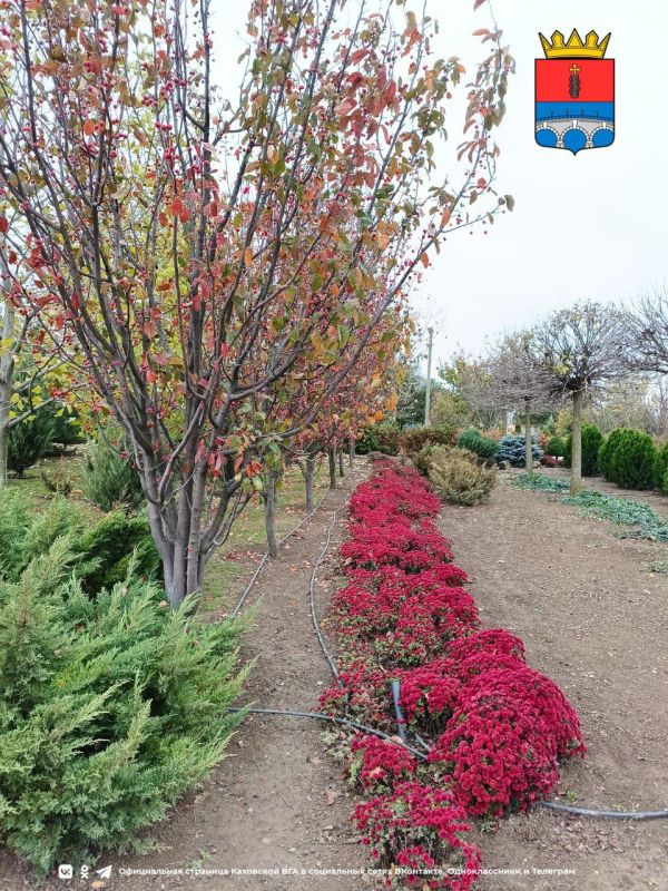 ������ ����, �������!. @VGA_Kakhovka