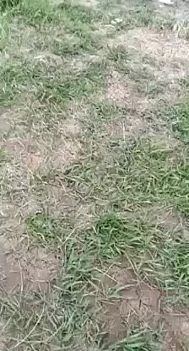 ����� ����� �������� � �������������� ���������� ��������� ��� ������������ ���������� �������