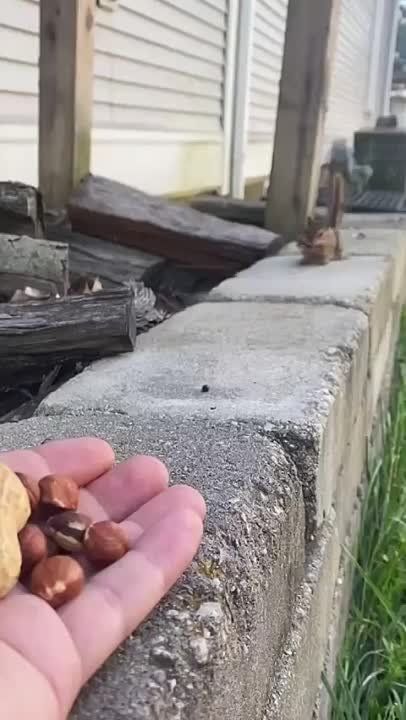 ����� �� ��������� ������� ������� � ���� ���, ����� ���������� ������