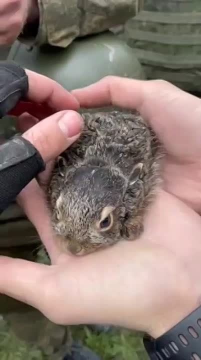 ������ ���� ������ �������� �����