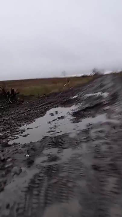 ������������ ������������ ���������� ������������, � ��� ����� ���������������� YPR-765 � ��������������� International MaxxPro ����� �.�. �������� �� ����������� �����������