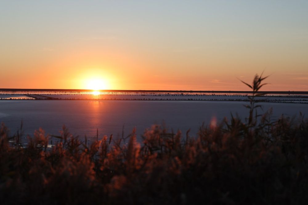 ���� ������� ������, ������!