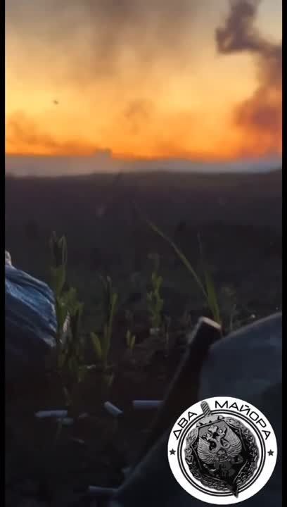 ����������� �����. ��������� ������ �� ���� ������������ ������� �� ��� �113 � ����� ������� ����� �� ����� ����� ������ ����������� ������ 291 ���