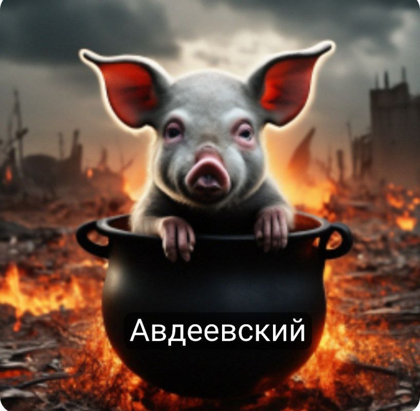 � �������� ���� ����� ������������ ���� � �����