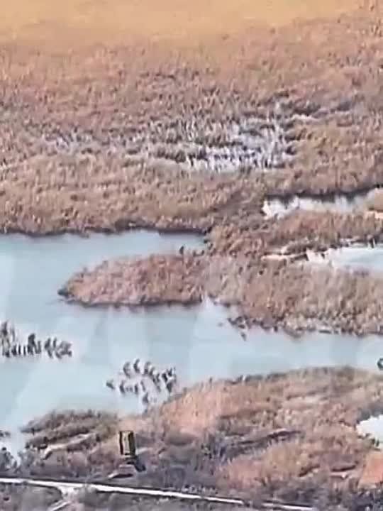 ����� ����������� ��������������� �� �� ���������� ��� �� ���������������� �����������