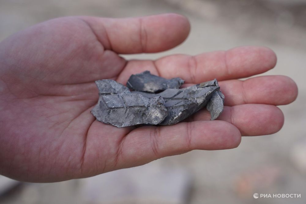 ��� ����� ��������� 35 �������� �� ���������� �������