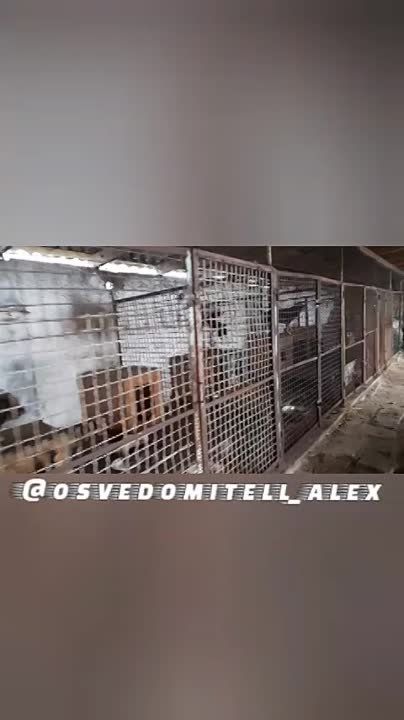 ������ �������� � ���� ����� �� �������� �������� � ����������, �� �������� ����� ��������� ��������