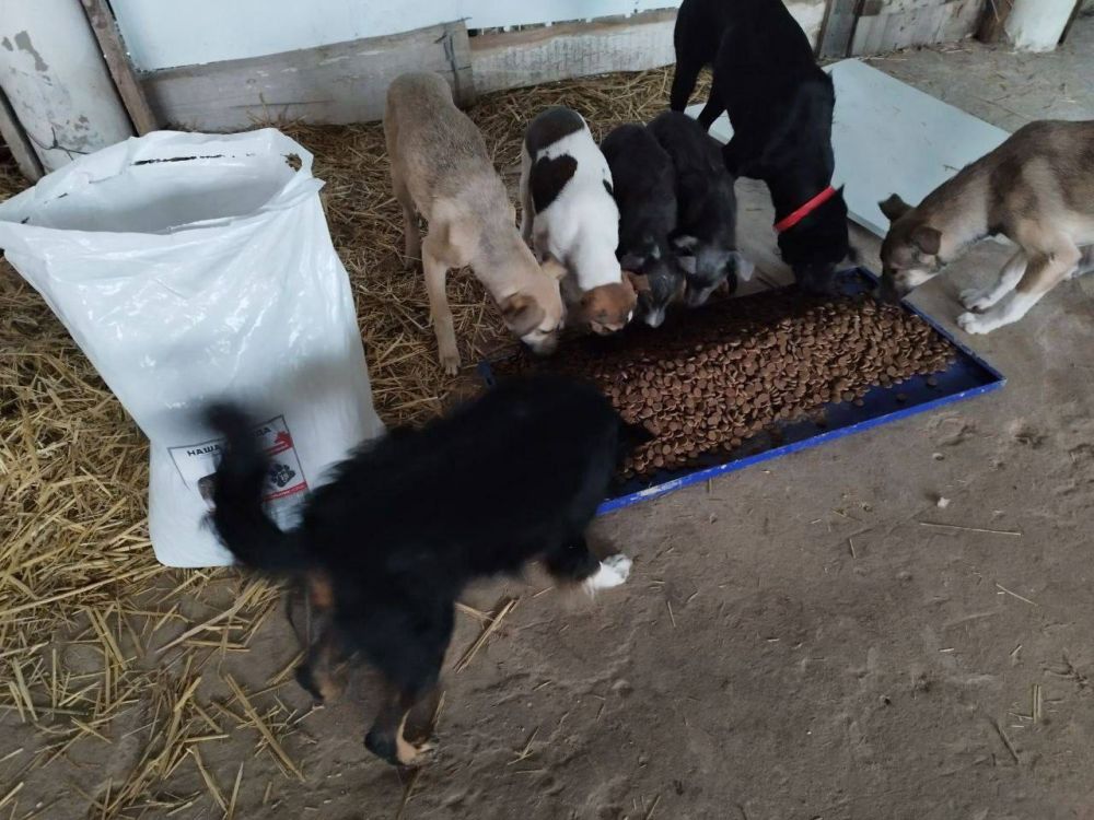 ����� ��� ��������� �������� � ����� ������� ������� ����� �������� ��������� �� �����������