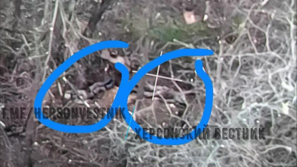 �������������� ����������� ����� ������ ���������� ���������� ���������� �� ���������� �����������