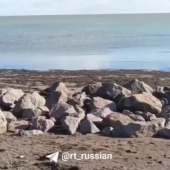 ���������� �� 60 ��� ����� ������������� � ��������� (���������� �������) �� ���� ������, ����� ���