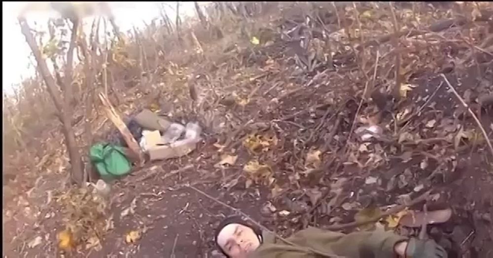 �������, � �������, �� ����. ������ ����, ���������������. �����, �����