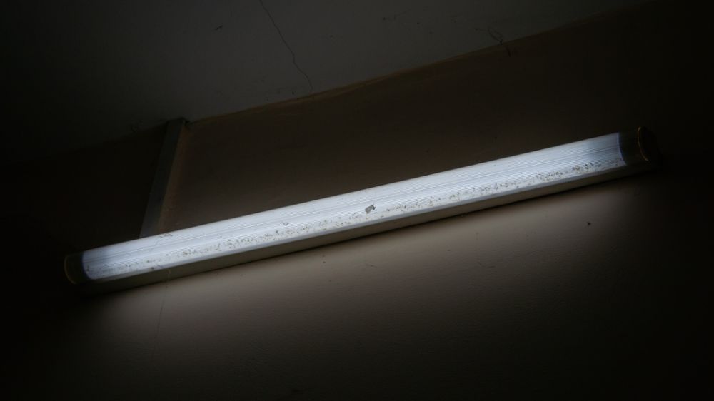 ���������������� ��������� � ��������� �������������