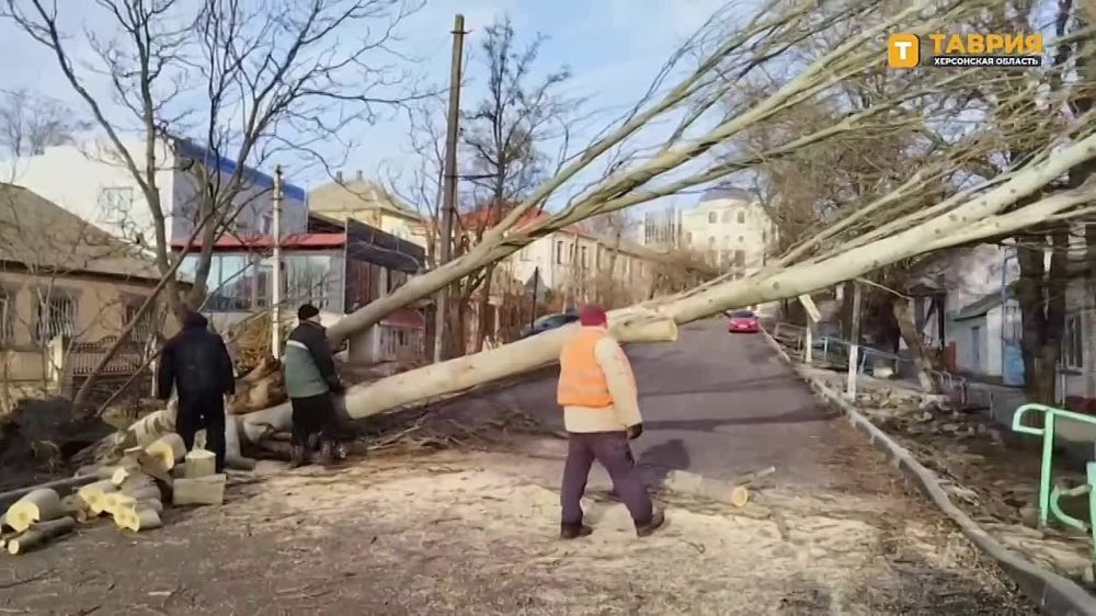 ������������ ������ ���������� � ������� ���������� �������� �� ����������� ������ ���������