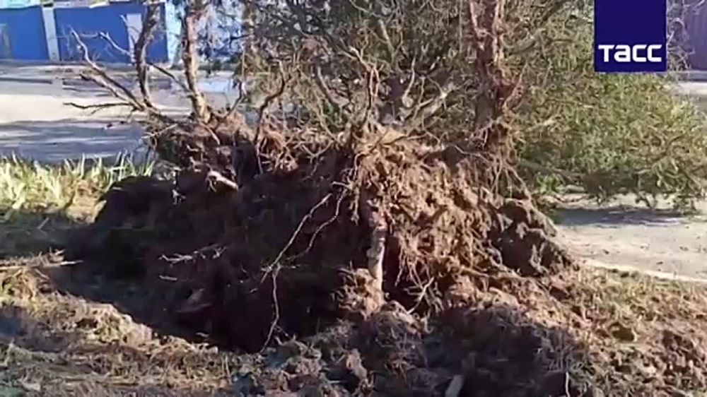 ����������� �������� � ���������� �������