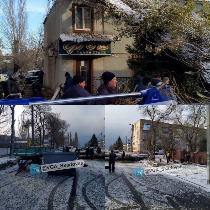 ������������� ����������� ����������� ������� � ���������