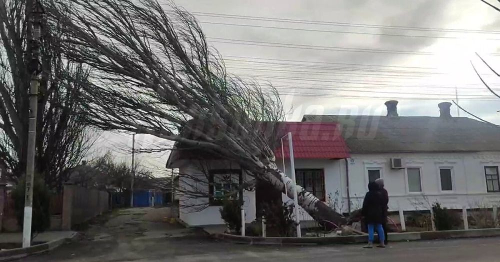 ����� ������ ������� � ���������� ��������� ���������� � ������������ ������