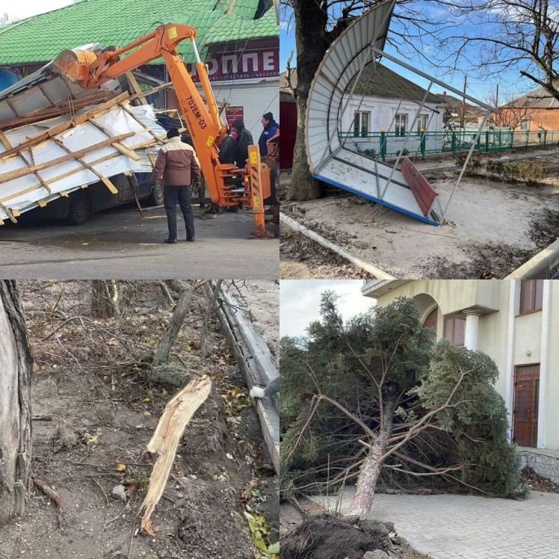 ����� ������������ � ���������� ���������� ������� ���������� � ������