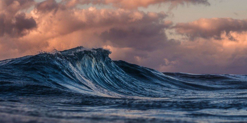 ������ ����� ��������� � ��� ���� �� �������� �������������