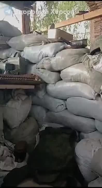 ���������� �����������: ��������� �������� ��������� �������� �� ����� ������ ������