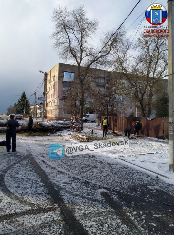 � ��������� ��� ����������� ����������� ������