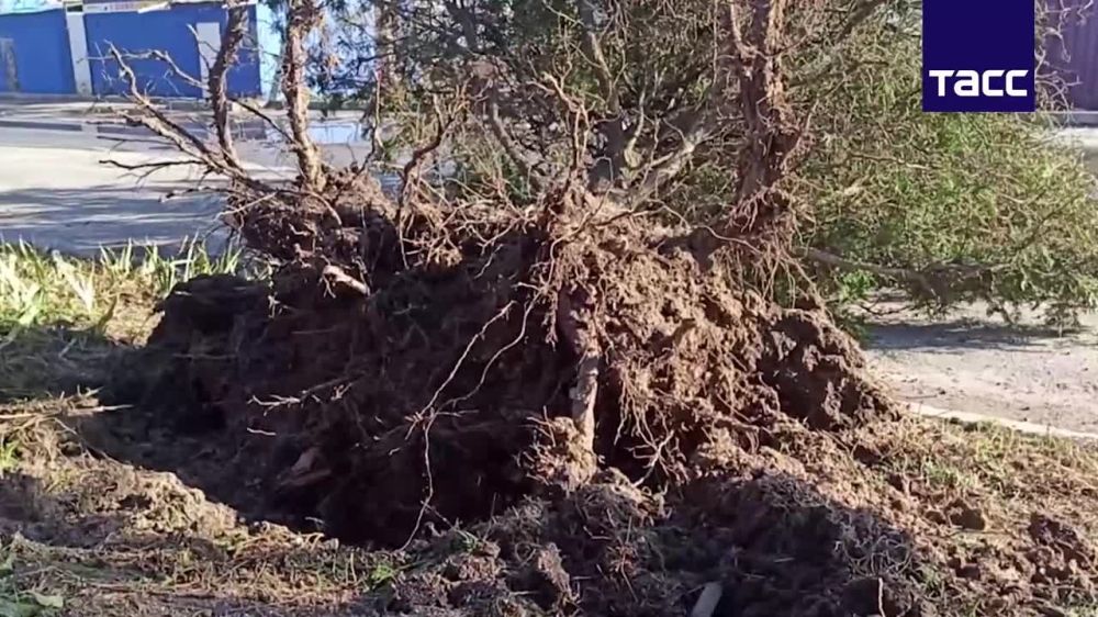 ����������� �������� � ���������� �������