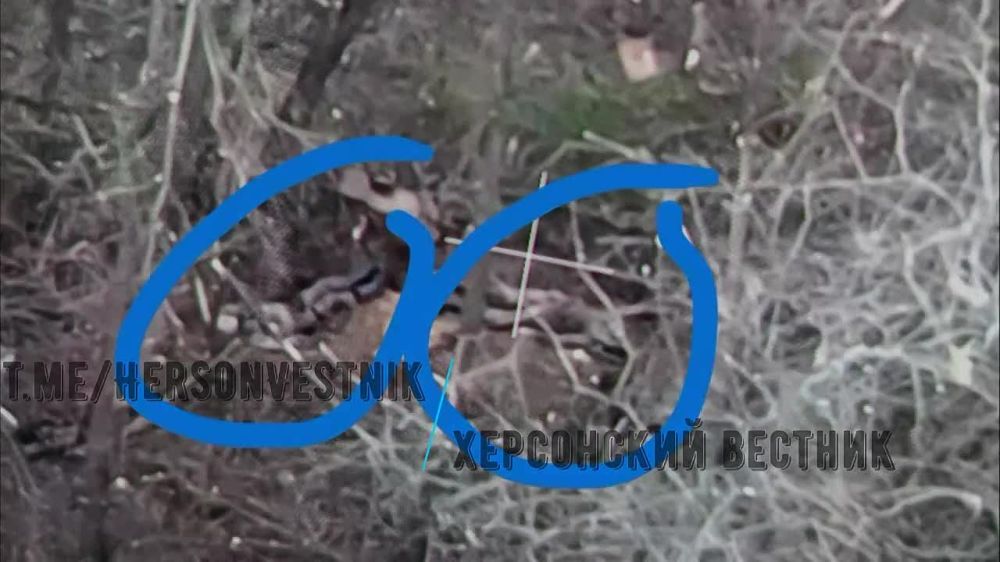 �������������� ����������� ����� ������ ���������� ���������� ���������� �� ���������� �����������