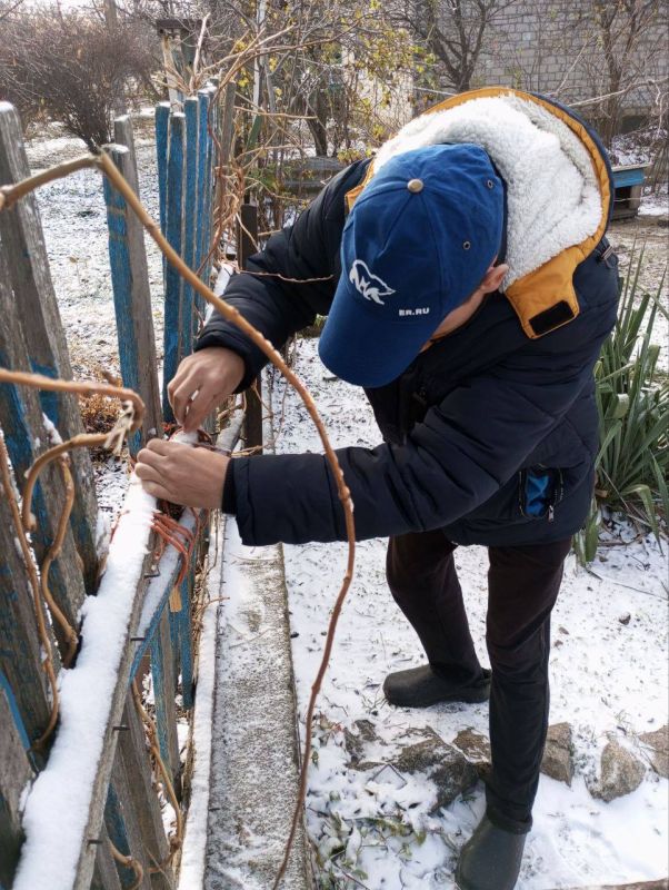 ����� ����������: ����� 450 ������� ��������� �� ������� ������������ ����� ������� ������ � ���������� ������� �� ������ +7 990 211 80 36