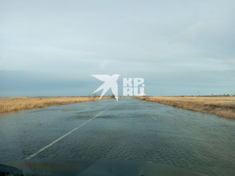 � ���������� ������� �������� ������ �� ���������� �������