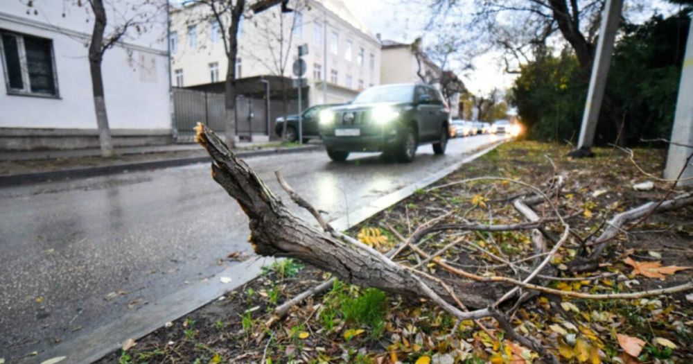 � ����������� �������� ������� ��������-�����, ������� ��������� ��������