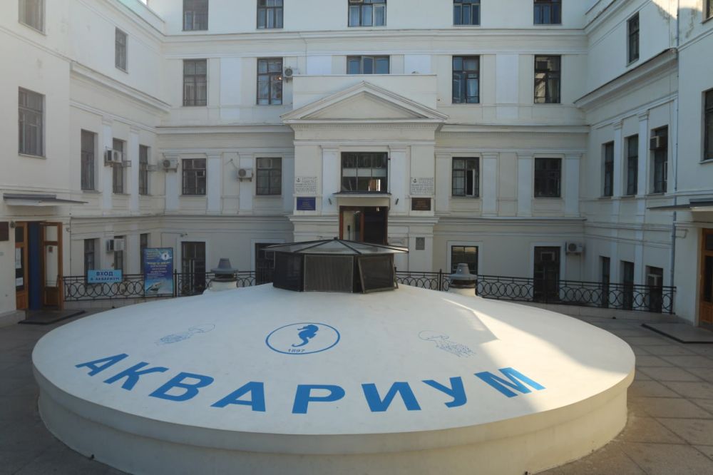 ����� ���� ����� 500 ������� �������� � ��������������� ������� ���������-�����, ��� �������� ���� �� �����, ������� ���������� ����������� ���������