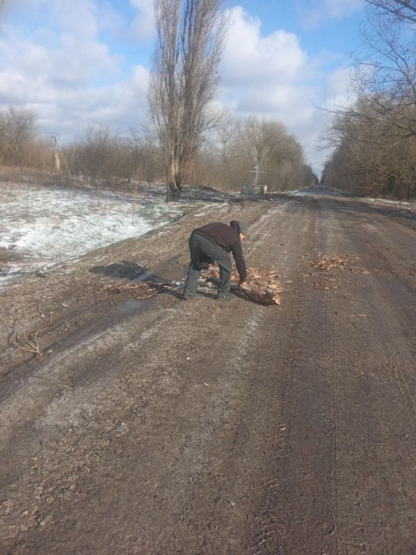 ������ ������� - ������������