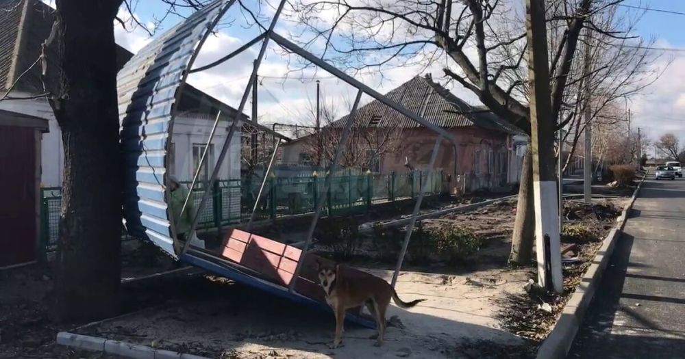 ������ ��������� ��������� � ���������