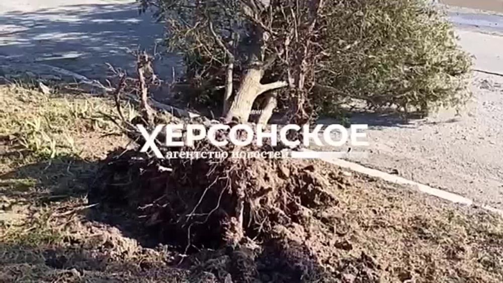 ������� ������� �������� ������ �� ���������� ������ ���������