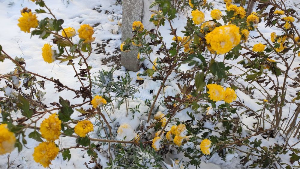 ������ ���� ��������!. #���_�������� |