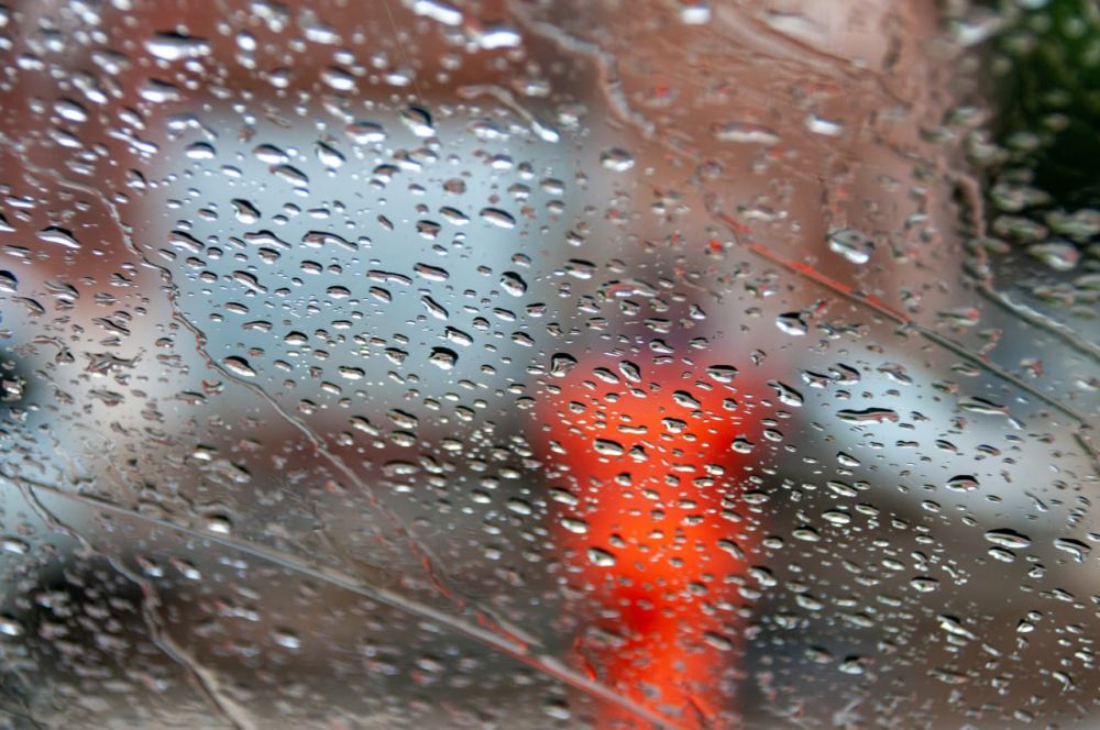 ��-�� �������� �� ���������� ���������� 94 ��������� ������